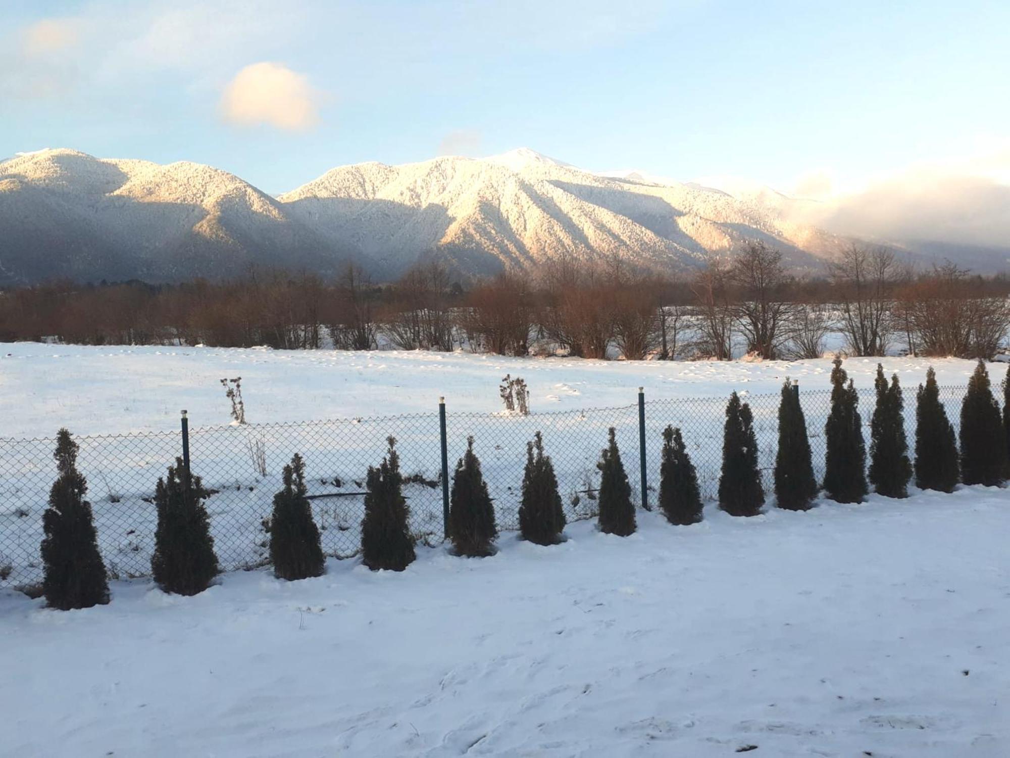 Villa Letizia Near The Pirin Golf Resort Банско Экстерьер фото